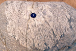 dendritic K-feldspar