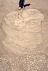 K-feldspar megacryst
aggregate