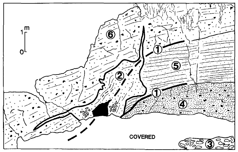 Intrusive breccia