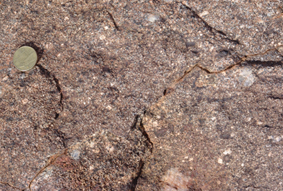 heterogeneous granites with retrogressed garnet