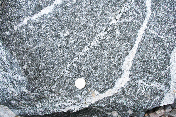 Migmatites Pelotense