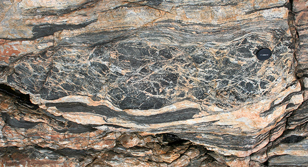 Net veined amphibolite