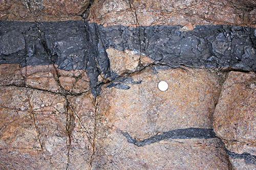 Tips of basalt dyke