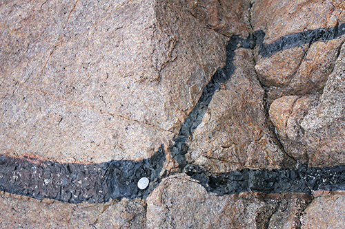 Tips of basalt dyke