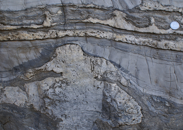 limestone with silica concretions