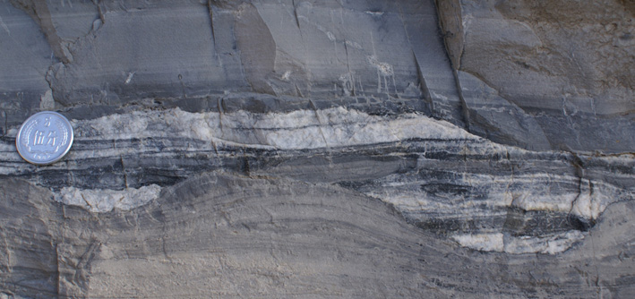 limestone with silica concretions