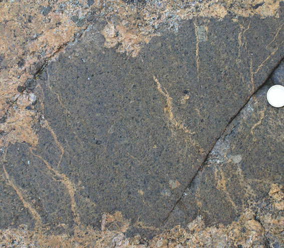 magma mingling,plus brecciation of xenoliths