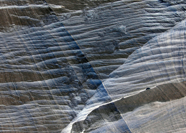 plumose structure