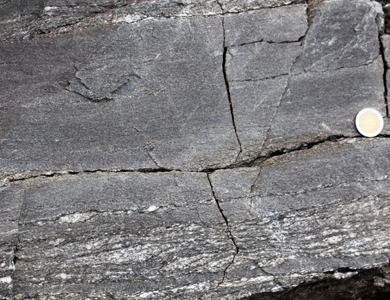 Quartz vein, thrust