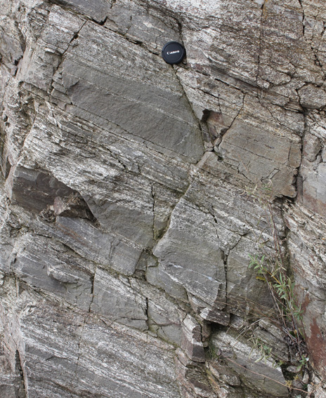 Quartz vein, thrust