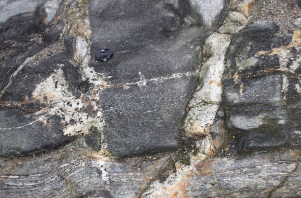 anatectic amphibolite