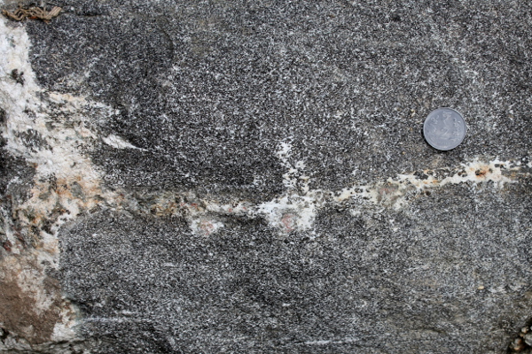 anatectic amphibolite