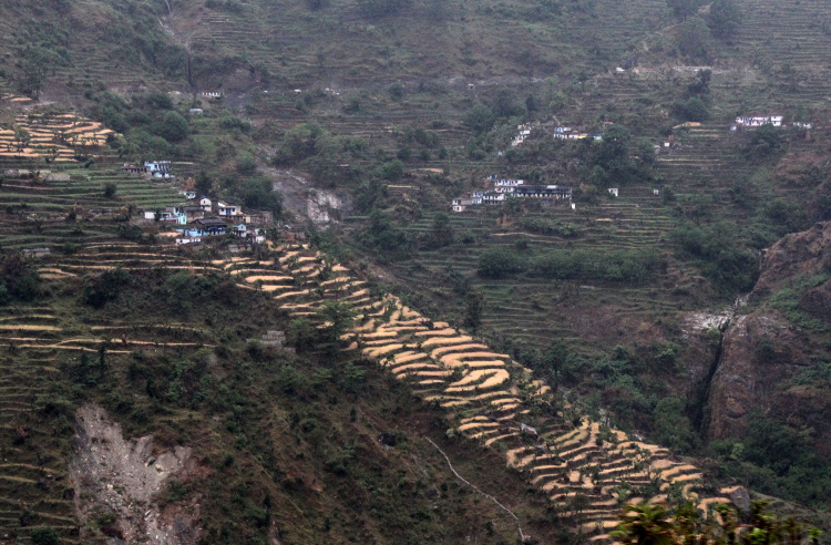 Terraces