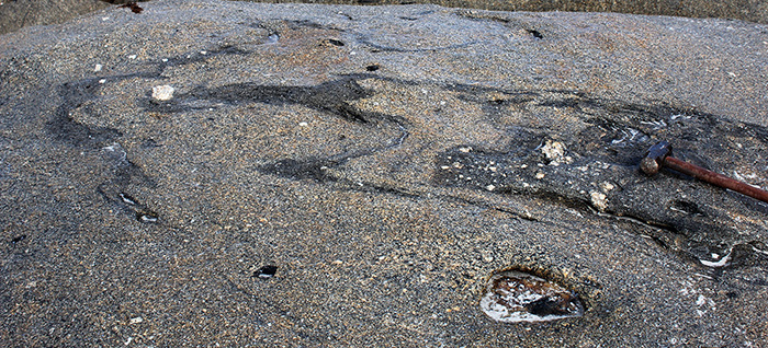 narrow sheets of diatexite spalled off by intrusive megacrystic granite