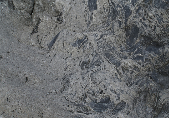 magma extraction features in migmatite