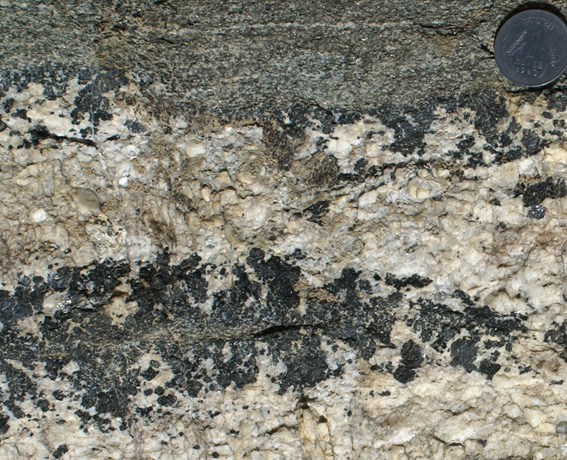 hornblende porphyroblasts in leucogranite