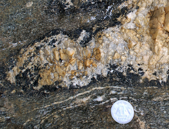 hornblende porphyroblasts in leucogranite