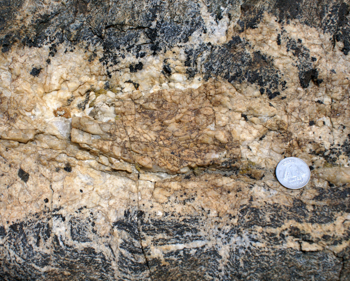 hornblende porphyroblasts in leucogranite