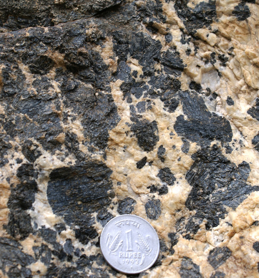 hornblende porphyroblasts in leucogranite