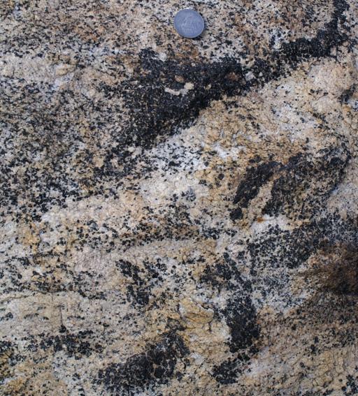 Aggregates of hornblende porphyroblasts in leucogranite