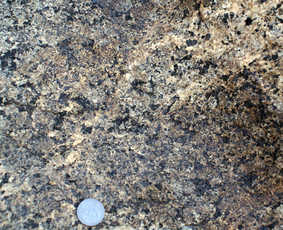 Mottled diorite