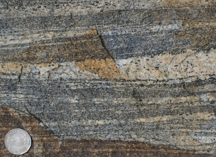 hornblende porphyroblasts in migmatite