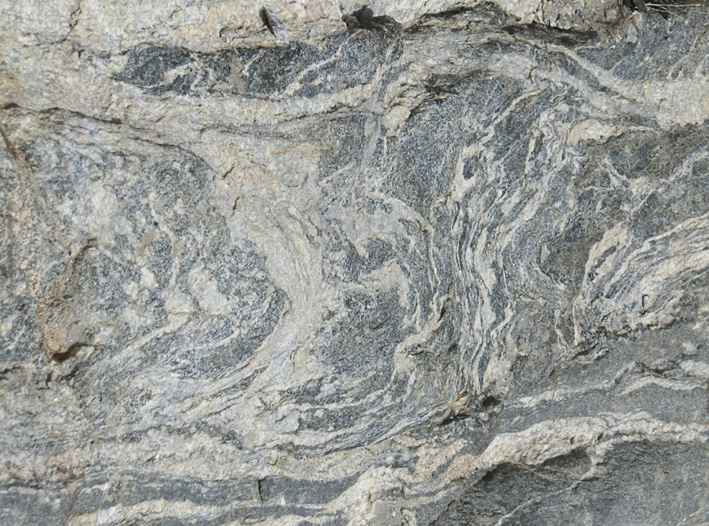 hornblende
porphyroblasts in migmatite