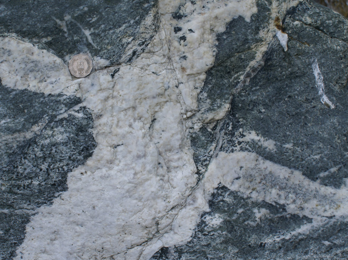 hornblende phenocrysts in Karakoram Batholith