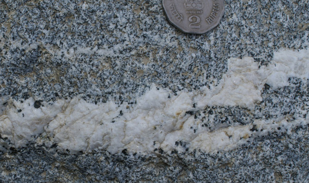 hornblende porphyroblasts in migmatite