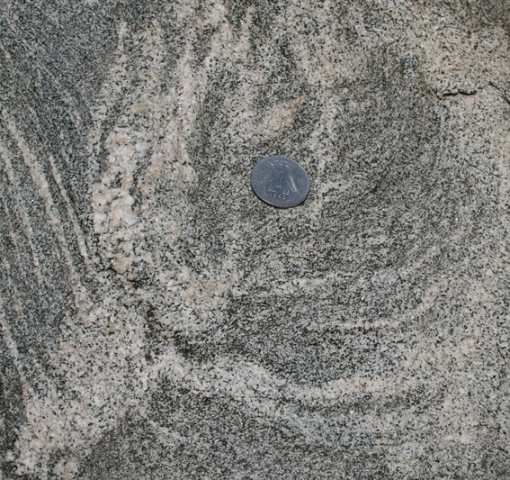 leucosome in amphibolite migmatite