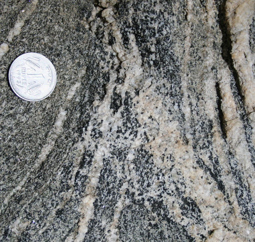 In situ melting amphibolites