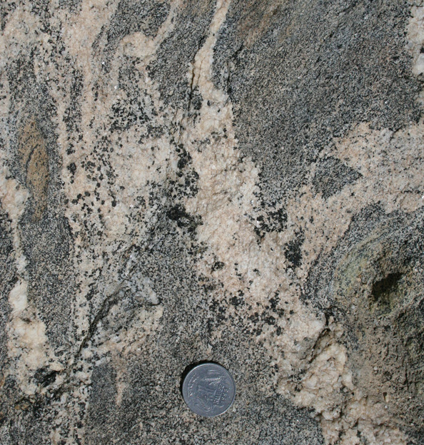 In situ melting amphibolites