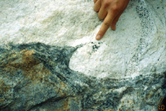 leucogranite
