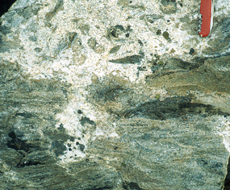 leucogranite