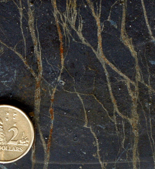 pyrite veins