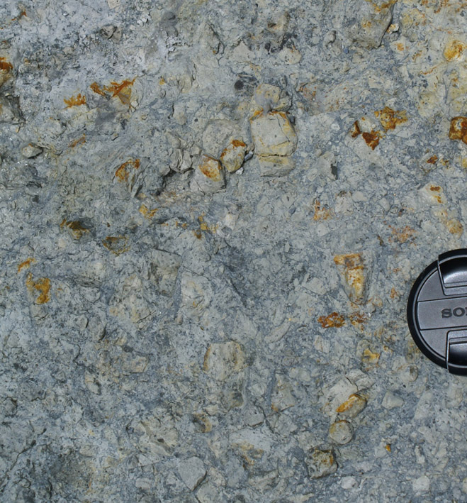 siltstone breccia