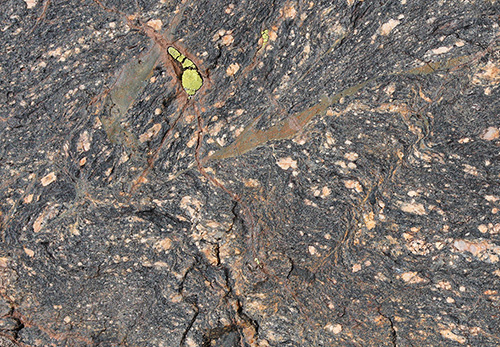 ultramylonite folded with pseudotachylite