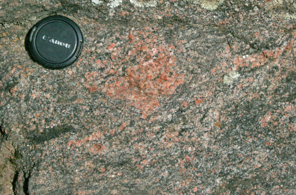 Garnet leucosome