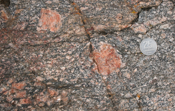 Garnet leucosome