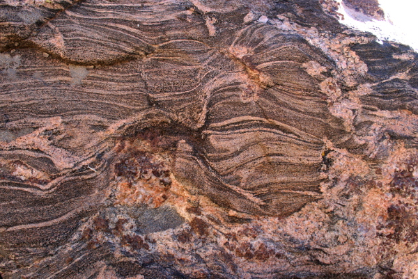 Garnet leucosome