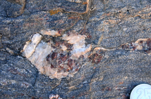 Garnet leucosome