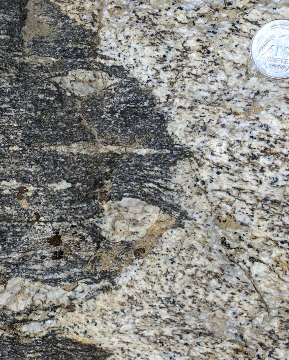Folding and transposition, migmatite