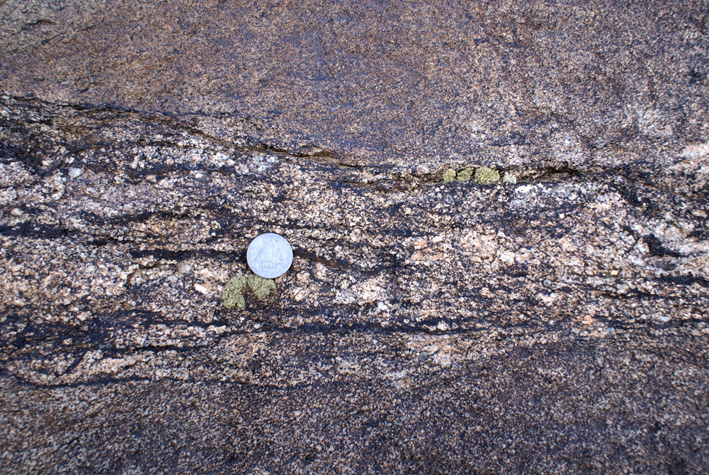 mobilization of diatexite