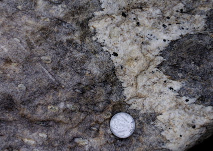 Sil-Bt schist, tourmaline
leucogranite