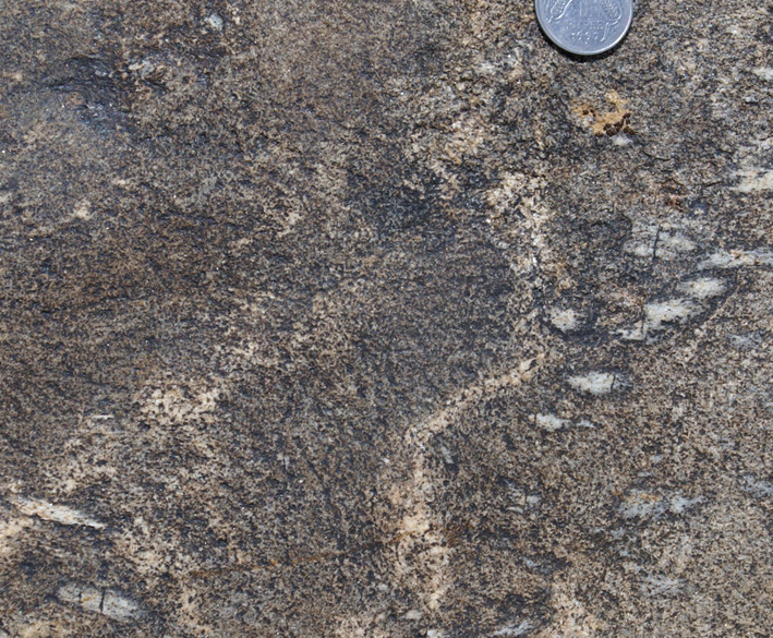 Sil-Bt schist migmatite