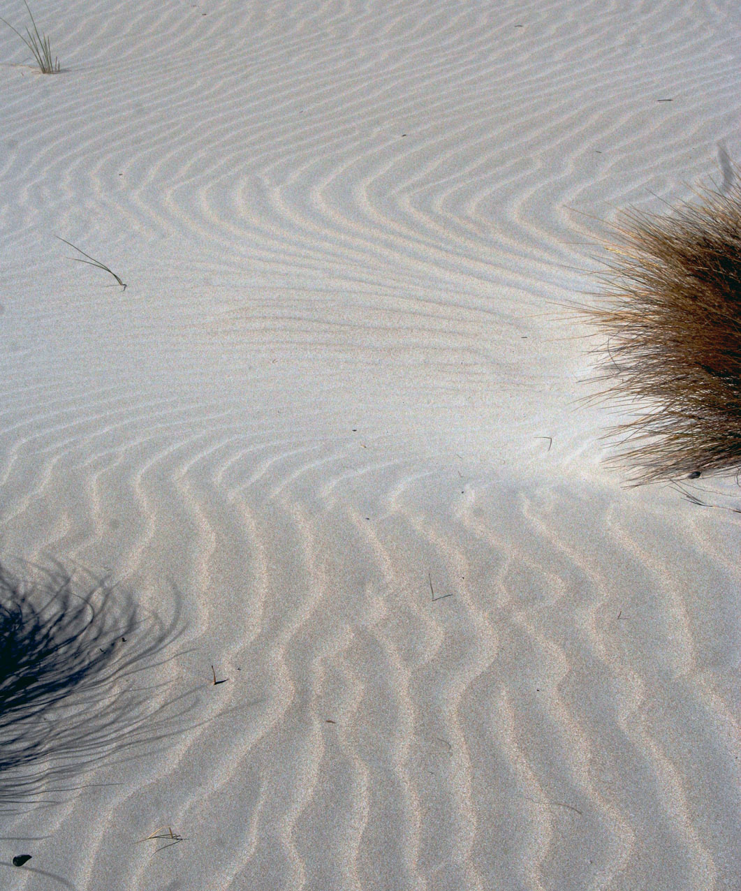 dunas