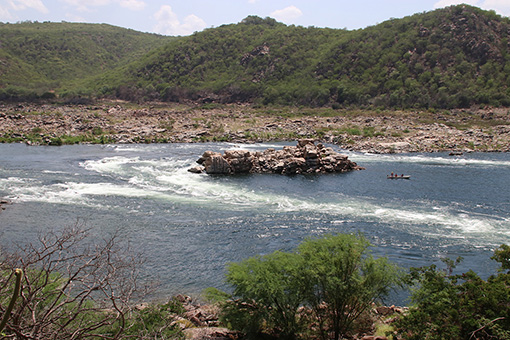 Fishing: Sao Francisco