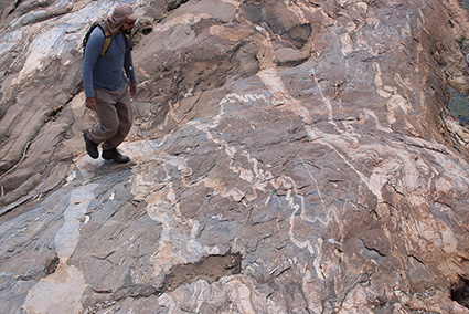 Pernambuco Shear Zone