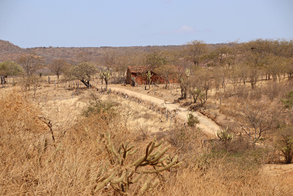 Monte Orebe region, west Pernambuco