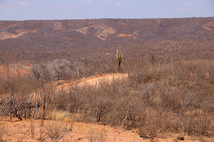  Monte Orebe region, west Pernambuco